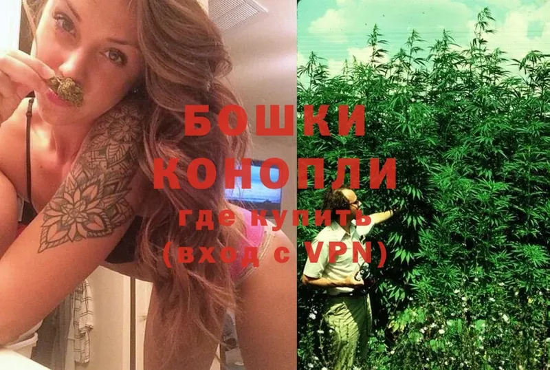 blacksprut зеркало  Богородск  МАРИХУАНА Ganja 